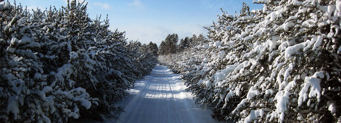 Snowmobile Trail